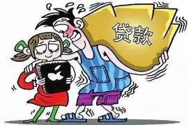 庐阳如何避免债务纠纷？专业追讨公司教您应对之策